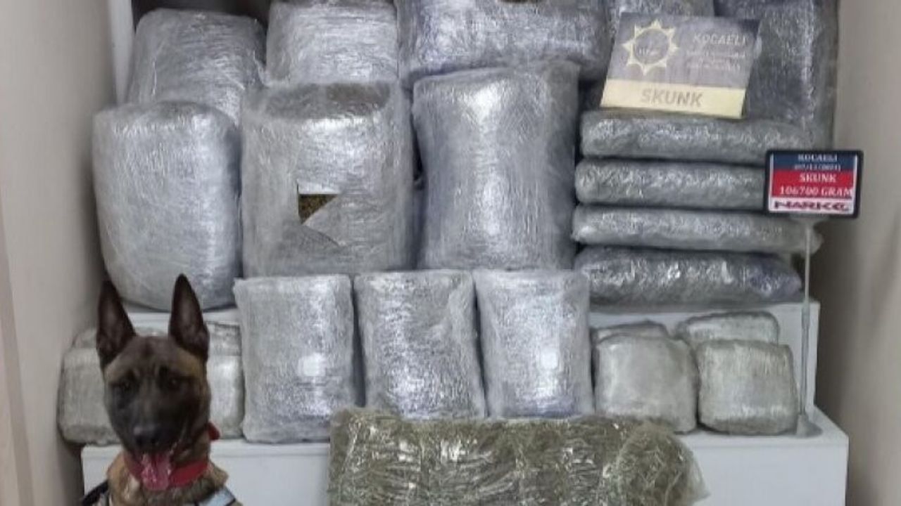 Dilovası'nda, 106 kg 700 gram Skunk ele geçirildi