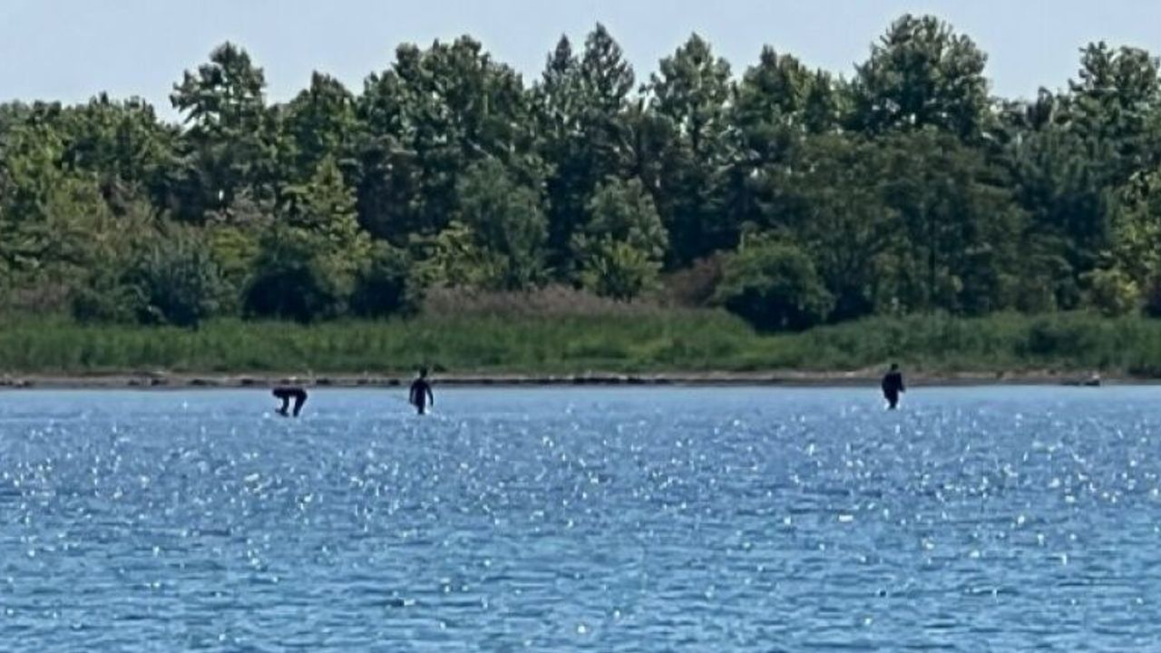 Yasak alanda yasak kum midyesi avcılığı yapan 5 şahıs yakalandı