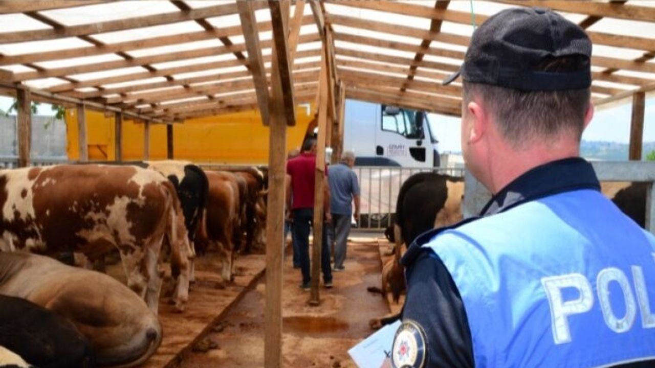 Sahtecilik, Dolandırıcılık, Hayvana eziyet konusunda bilgilendirme broşürleri dağıttı