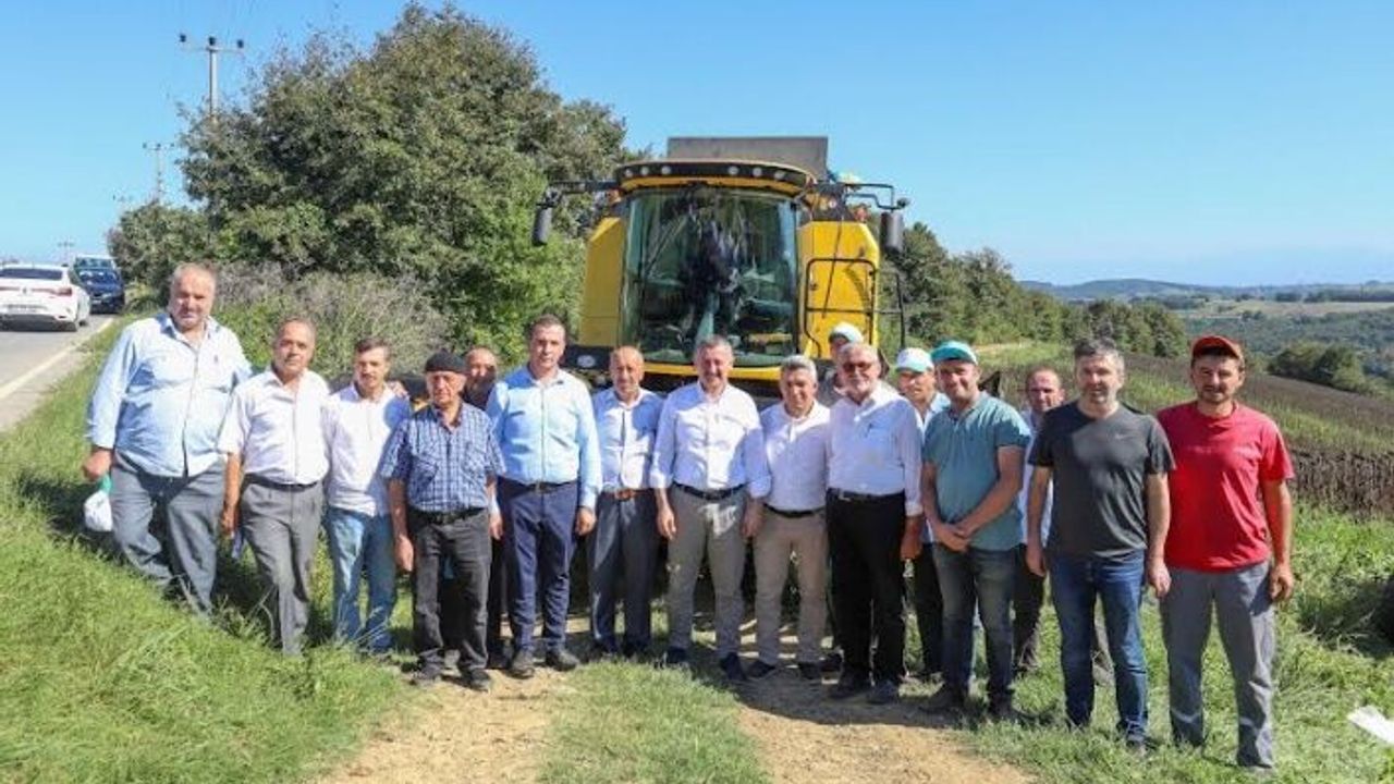 Başkan Büyükakın ayçiçeği hasadı yaptı