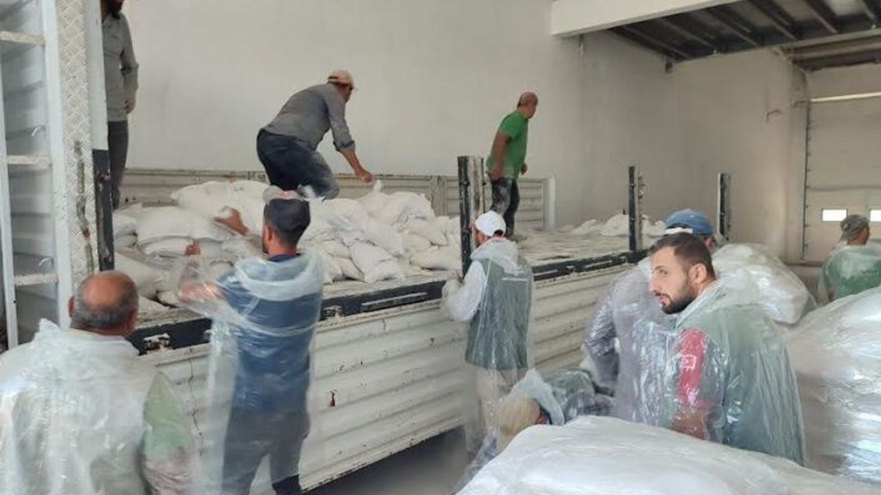 GÖLCÜK BELEDİYESİ’NİN YETİŞTİRDİĞİ BUĞDAYLAR, İHTİYAÇ SAHİPLERİ İÇİN YAKLAŞIK 10 TON UNA DÖNÜŞTÜ