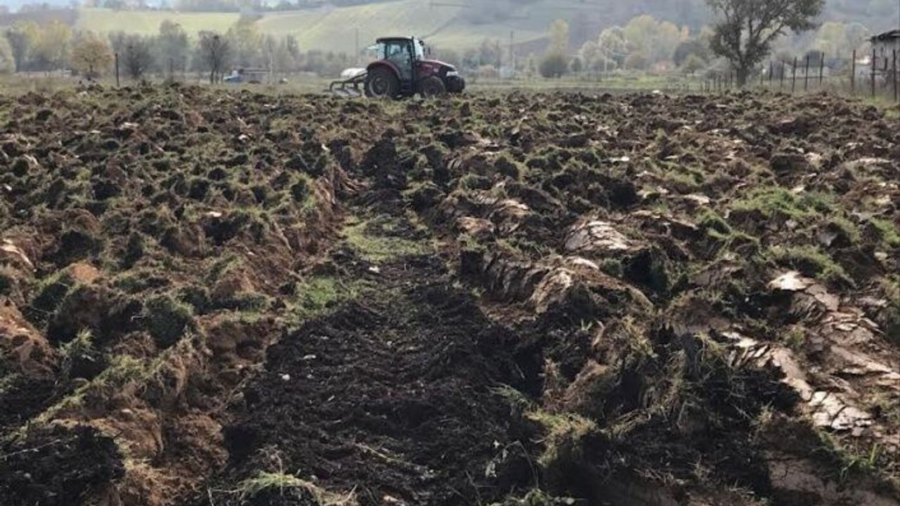 Atıl arazilere buğday ekildi, kompost kullanıldı