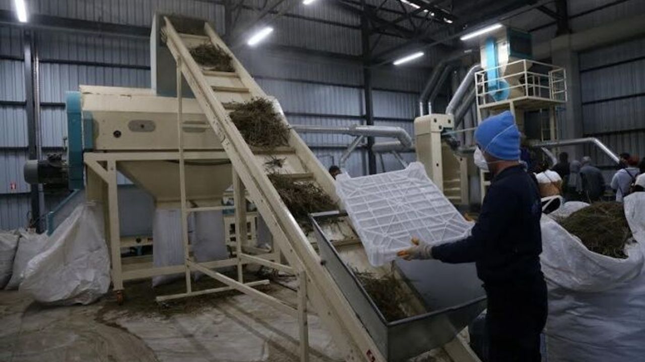 Aromatik bitki kursları KO-MEK’te