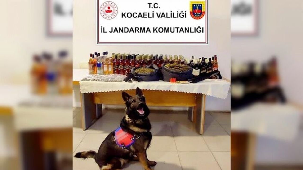 Kocaeli İl Jandarma Komutanlığının uyuşturucu ile mücadele kapsamında
