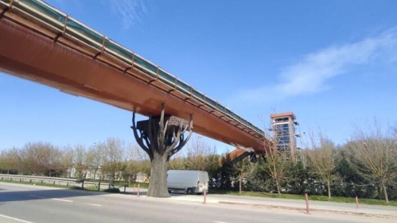 Ormanya yaya üstgeçidinde sona doğru