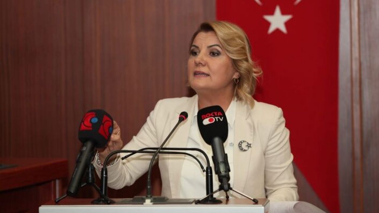 Başkan Hürriyet: Bu kente yerleşmiş insanlara dağlı diyemezsiniz