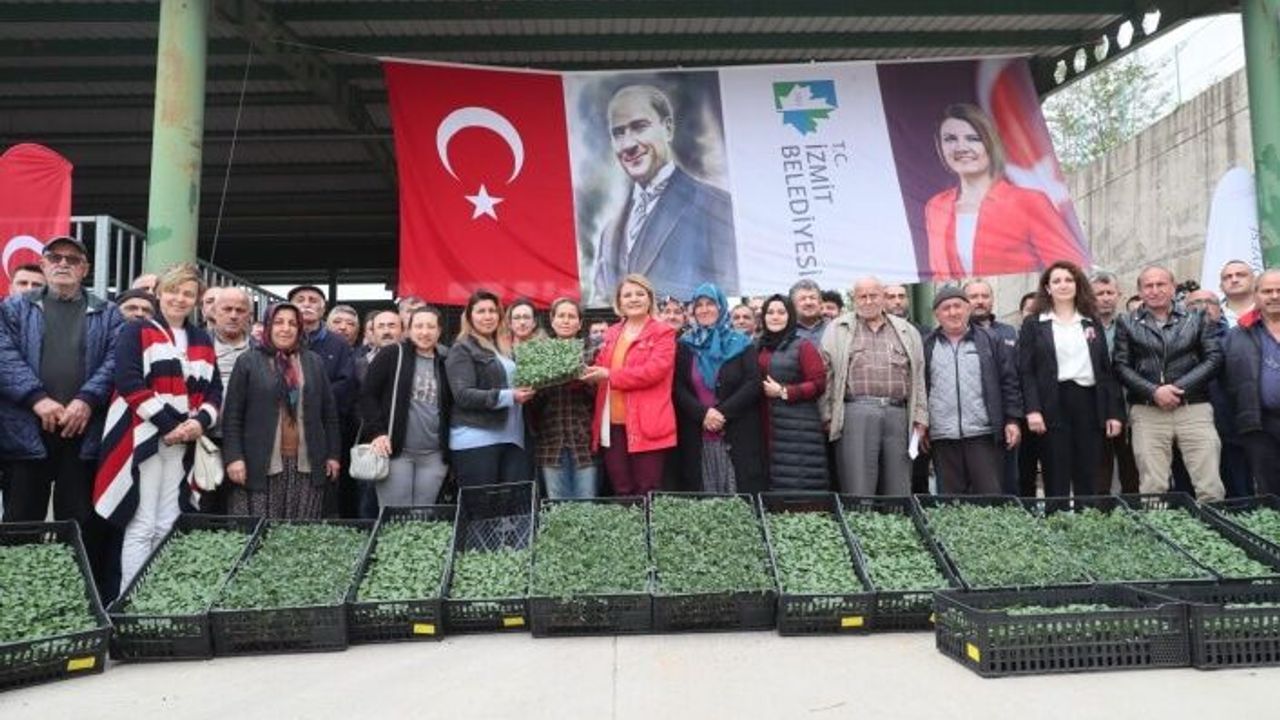 İzmit Belediyesinden, çiftçiye 2 milyonluk fide desteği