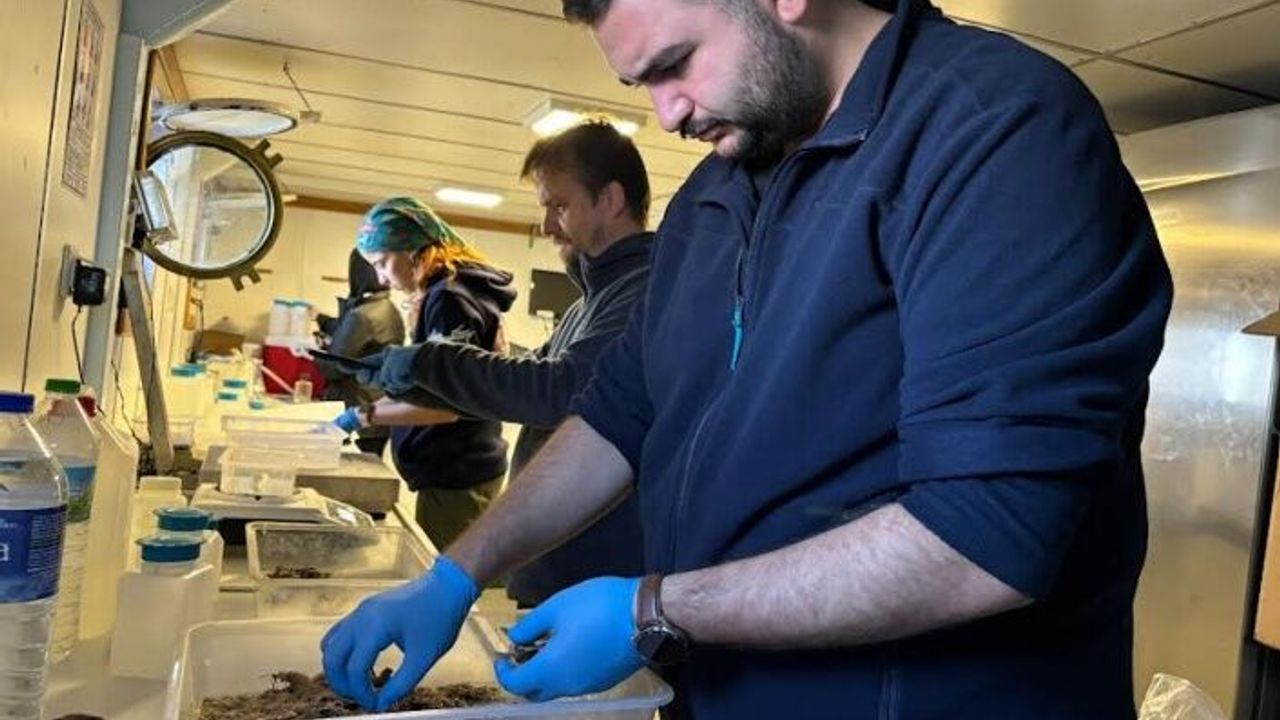 Biyoçeşitlilikte, ekim ayı araştırması tamam