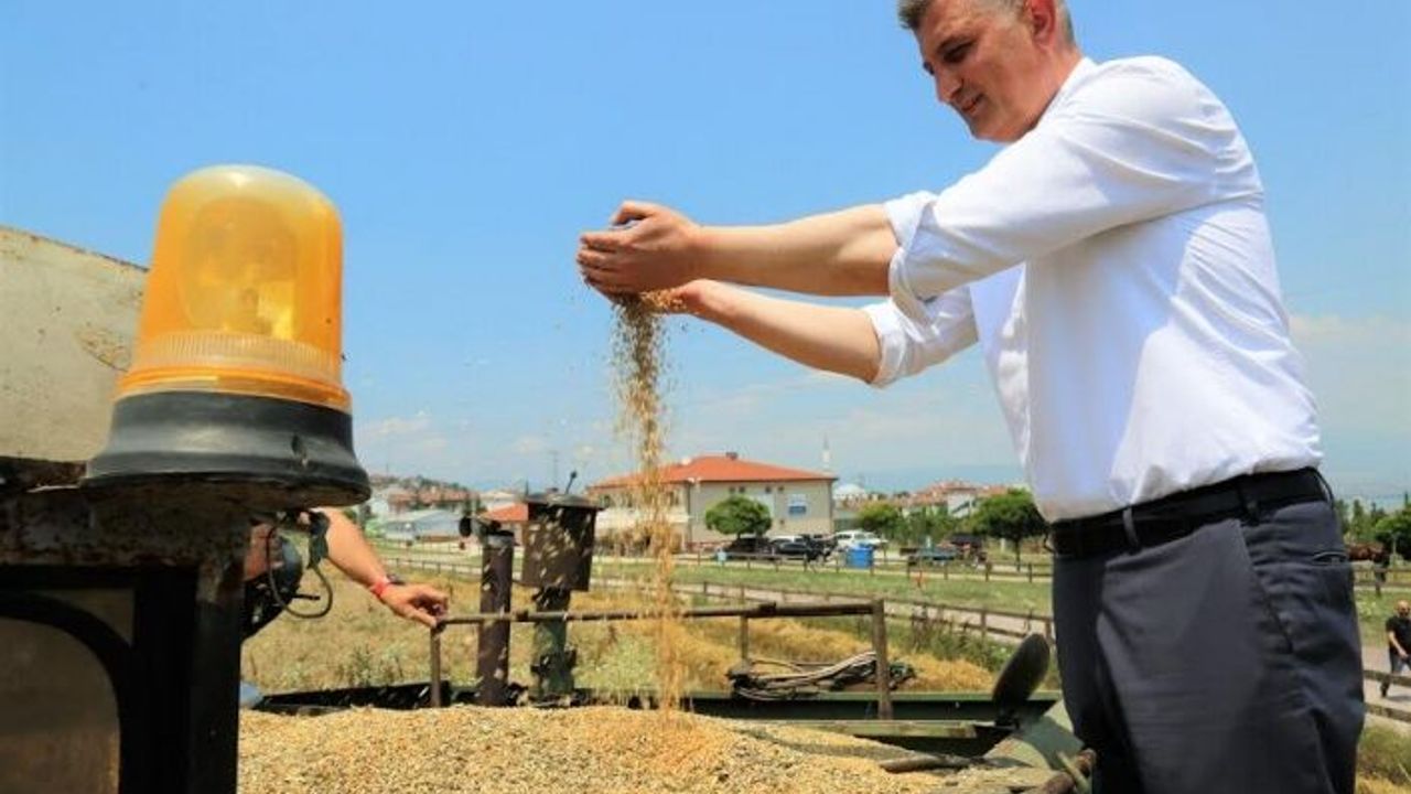 GÖLCÜK BELEDİYESİ, SOSYAL HİZMET TARLASINDA BU KEZ YEM BİTKİSİ YETİŞECEK