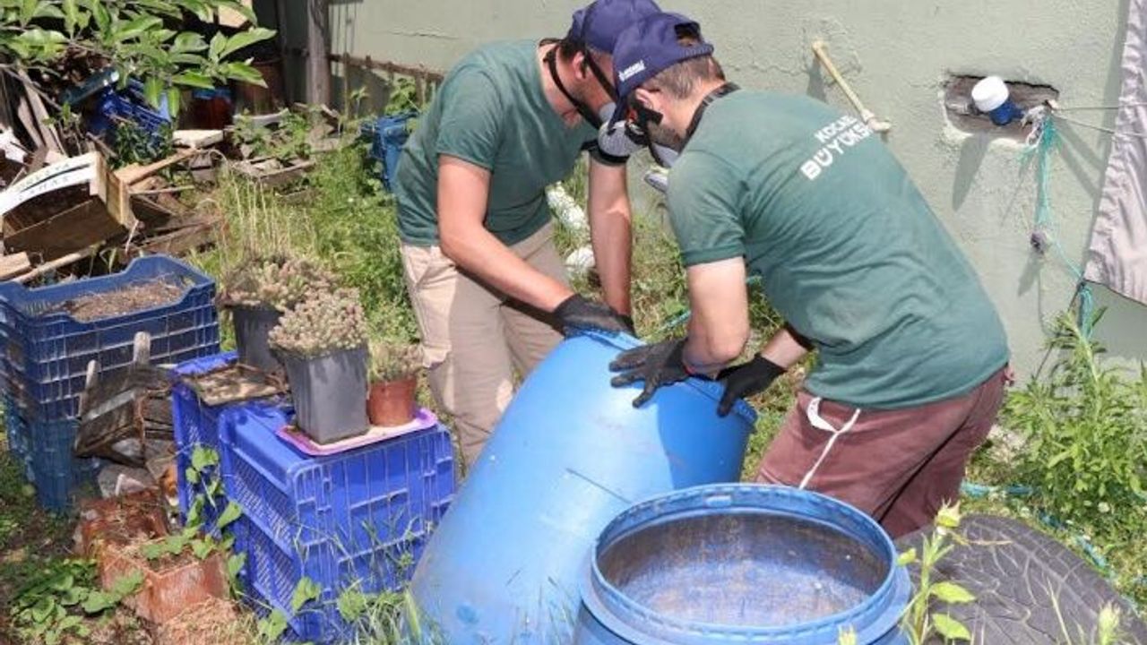 Sivrisineksiz Kocaeli, için 204 milyon 178 bin 66 adım