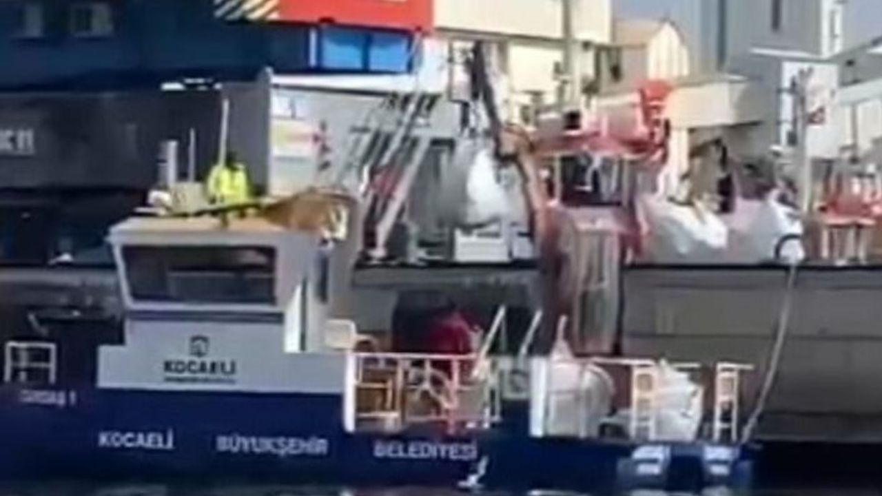 Evyap Port Limanından, vinçlerin devrilmesi olayı ile ilgili yapılan açıklamada…