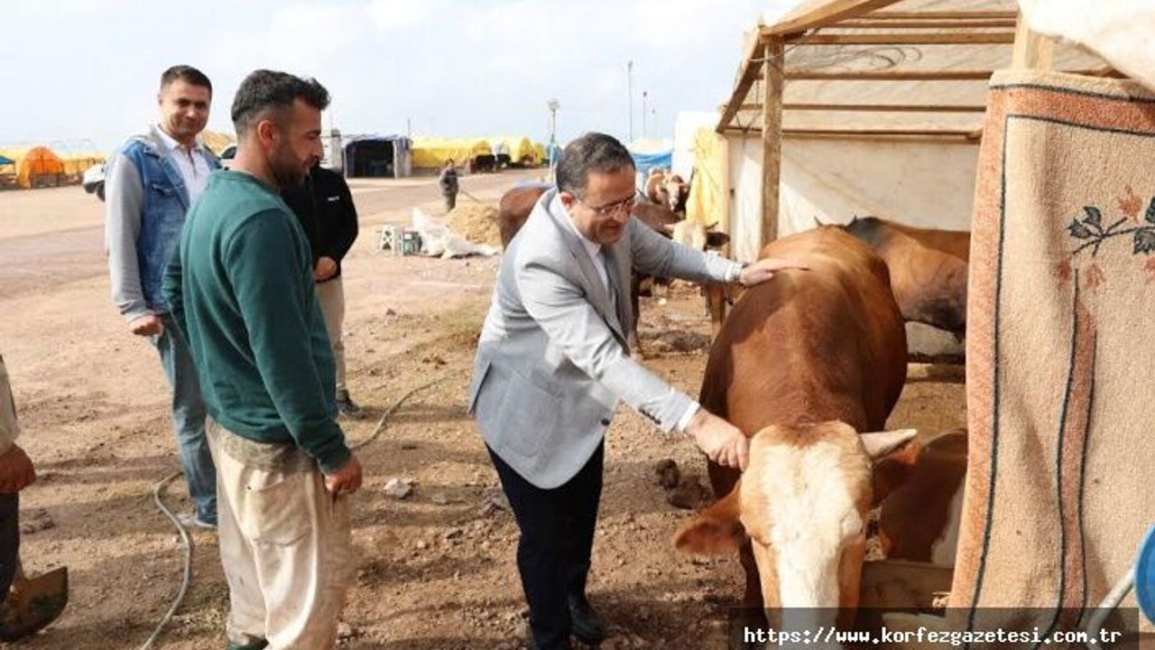 Başkan Gökçe, Kurban Pazarında, vatandaşlara hayırlı işler diledi