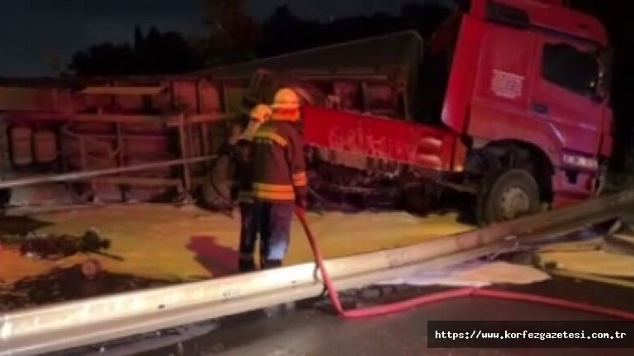 Tır, aydınlatma direğine çarptı ve devrildi
