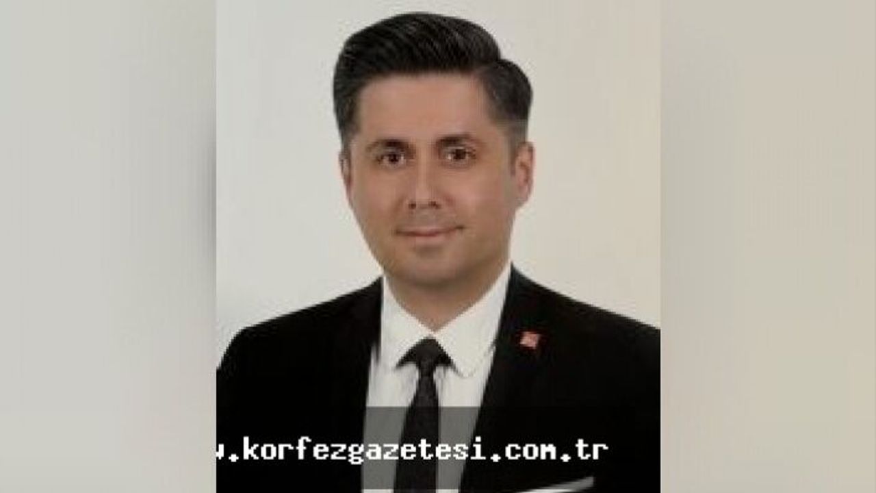 Meclis Üyesi Günay, Sokak Hayvanların Yaşam Haklarının Güvence Altına Alınması Gerekir