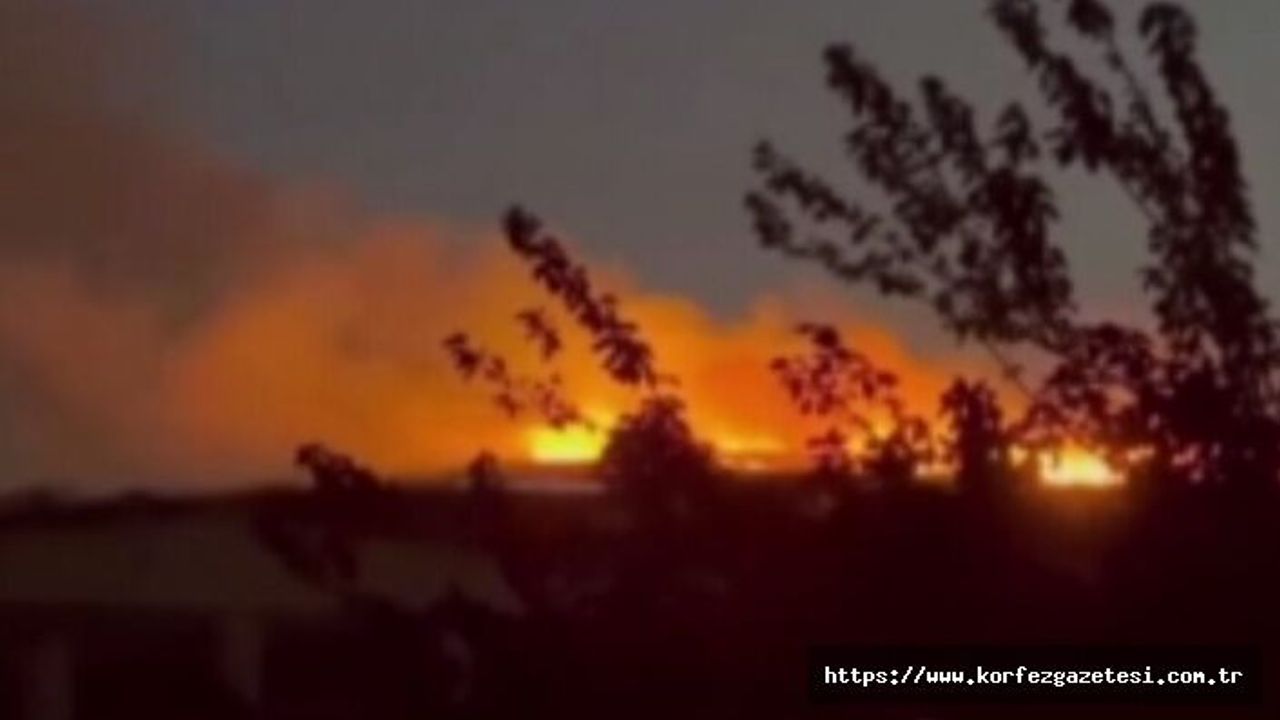 Gece Aydınlatan Yangın: Çayırova'da Aşıklar Tepesi'nde Büyük Korku