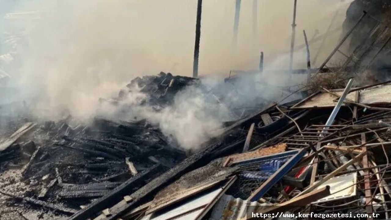 İzmit'te Ahır Yangınında, 13 Büyükbaş Hayvan Telef Oldu