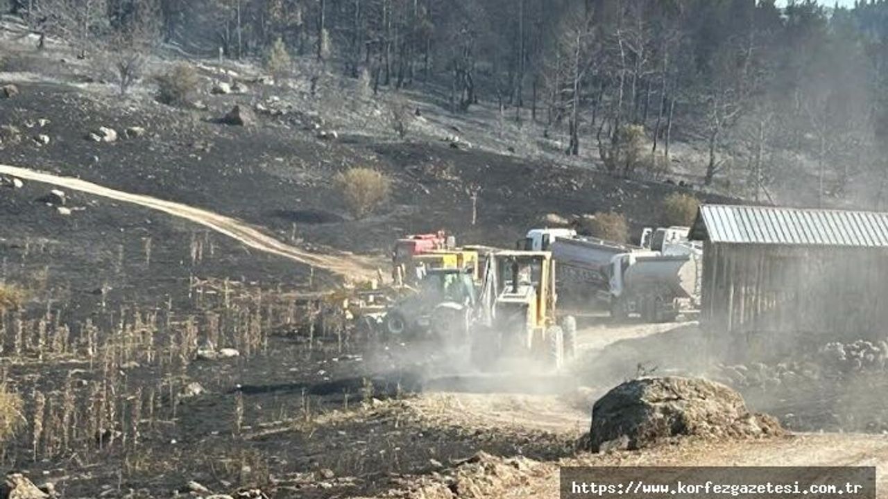 Körfez Belediyesi, Bolu’ya, Yangın Bölgesine, İş Makineleri Gönderdi