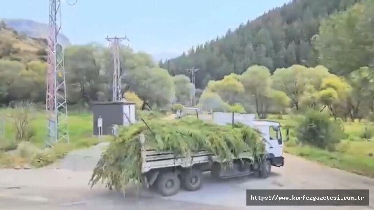 İçişleri Bakanı Yerlikaya, Uyuşturucu Operasyonlarının, Detaylarını Açıkladı