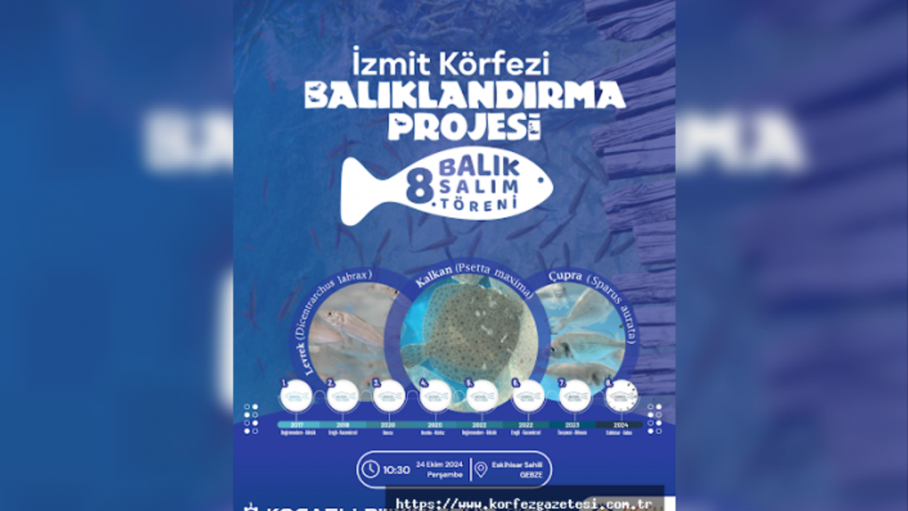 Kocaeli Büyükşehir Belediyesi İzmit Körfezi'ne Balık Salıyor