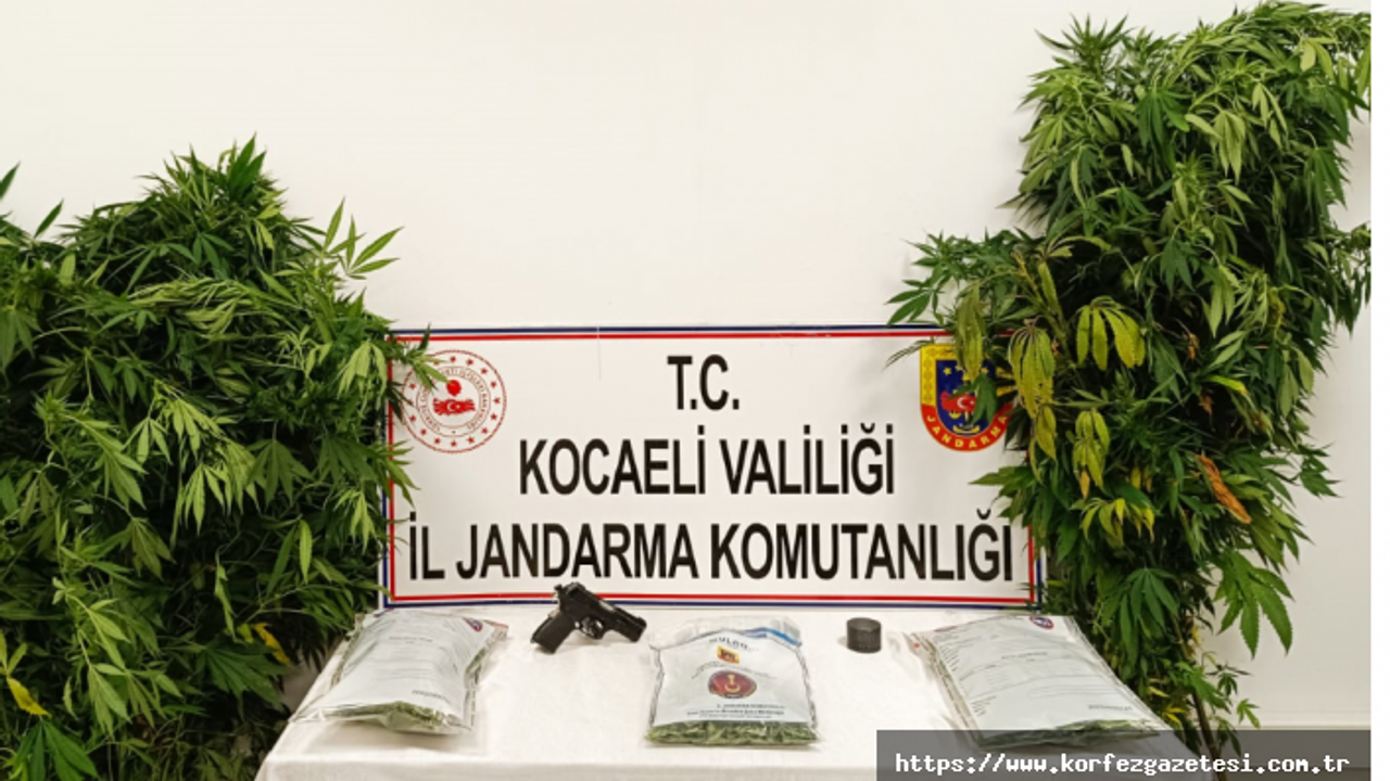 Narkotik Suçlarla Mücadele Ekipleri, Operasyon Sonuçları Açıklandı