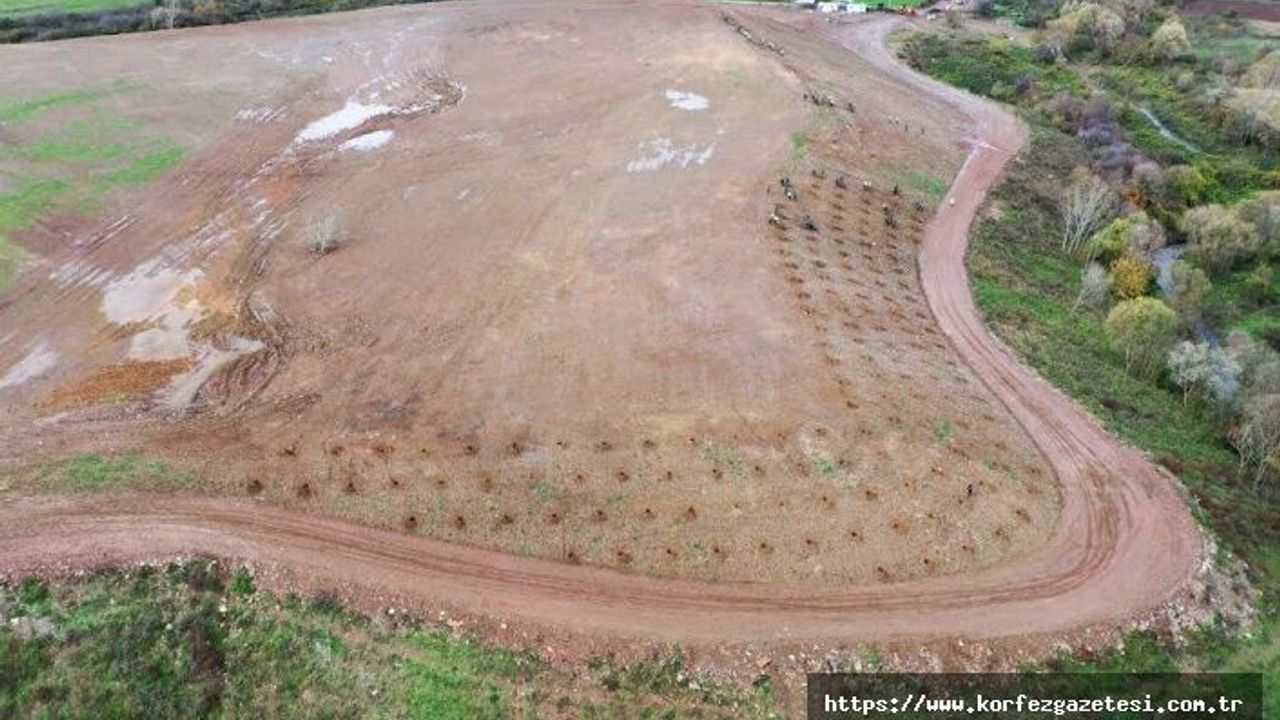 Kocaeli Büyükşehir Belediyesi'nden, Yeşil Düşünce:4 Bin Ağaç Dikiliyor