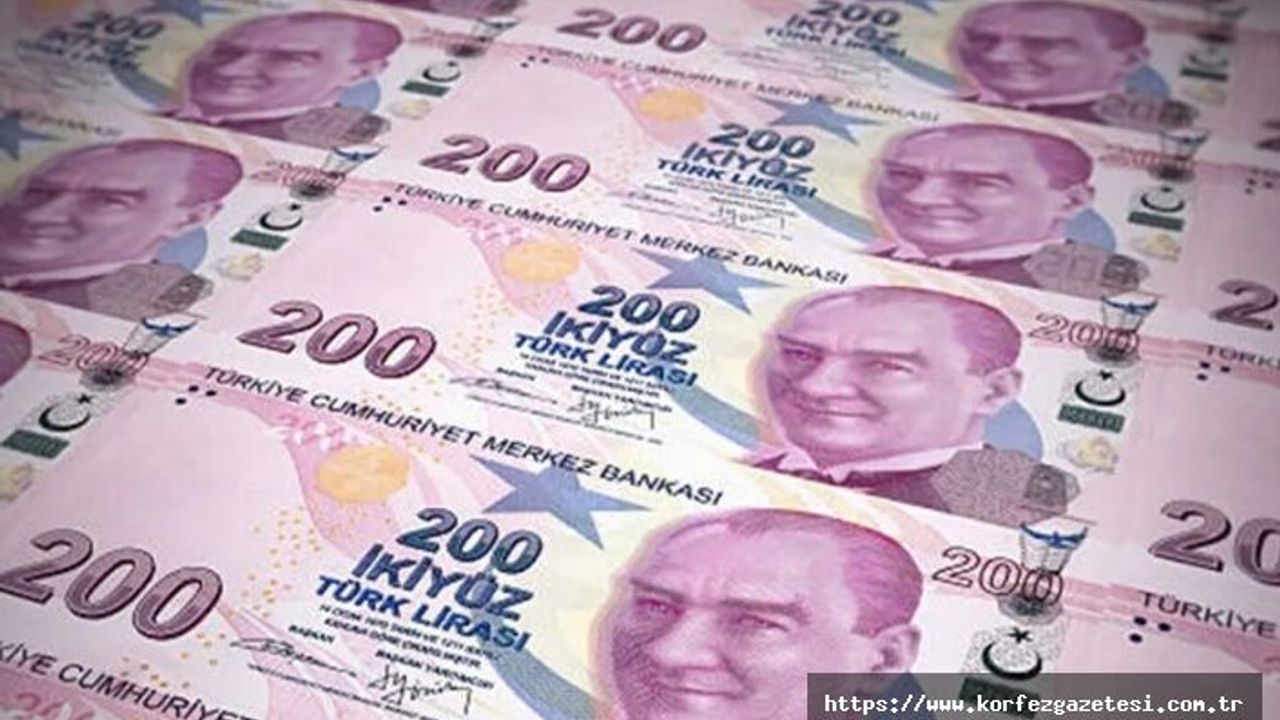 2024 YILINDA TÜRKİYE'NİN VERGİ YÜKÜ DAĞILIMI AÇIKLANDI