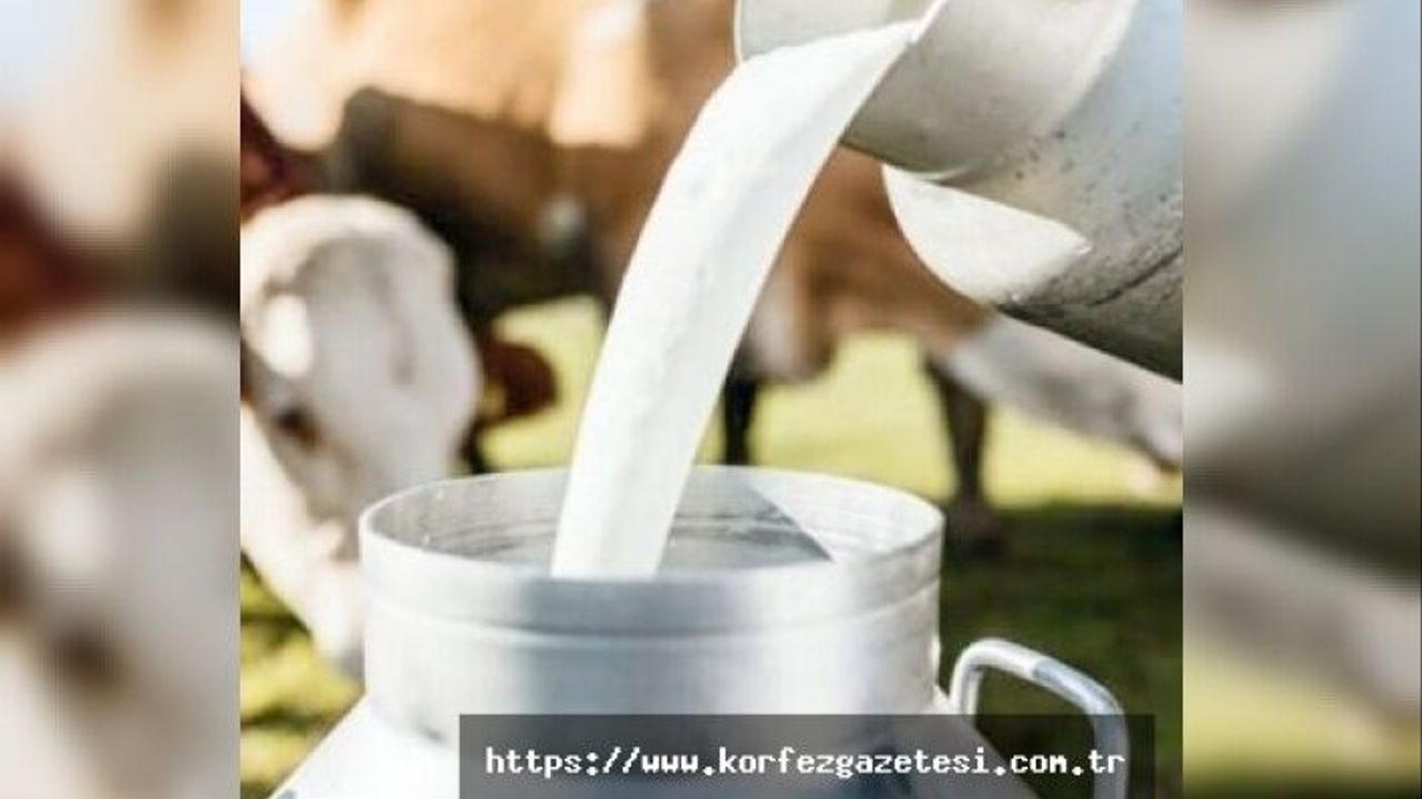 SÜTLERDE SU SKANDALI ORTAYA ÇIKTI: HATALI ÜRÜNLER TOPLATILIYOR