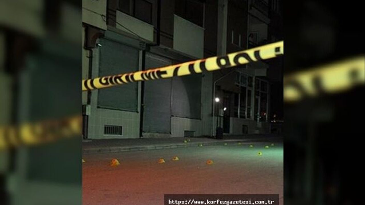 KOCAELİ'DE KARDEŞ KAVGASI KANLI BİTTİ