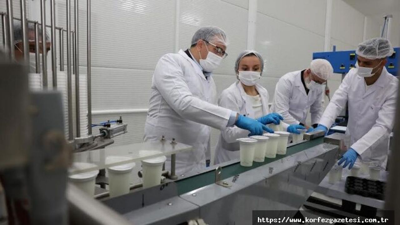 Derince Belediyesi, DERTAŞ Tesisleri'nde Ayran Üretimine Başlıyor