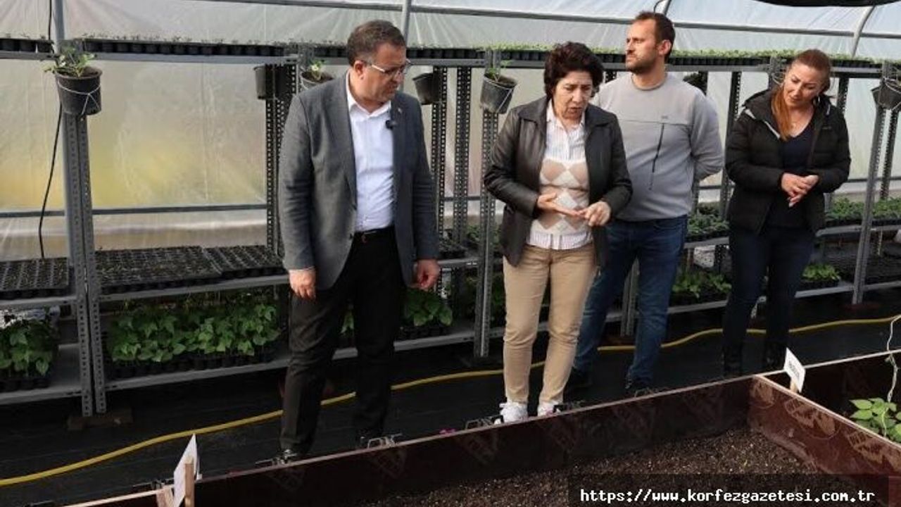 DERİNCE BELEDİYESİ YEREL SERA KURDU