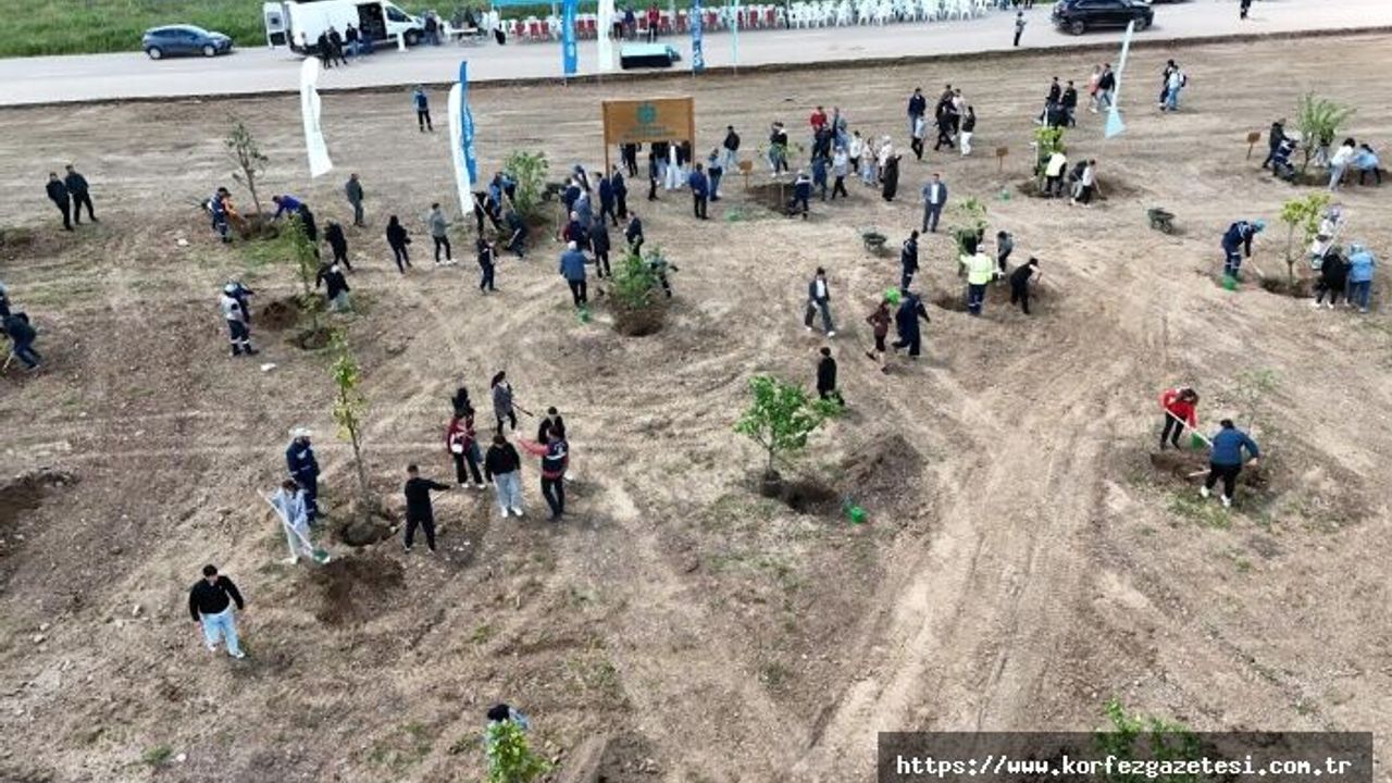 Kocaeli'nde Yeşilin Yükselişi Devam Ediyor