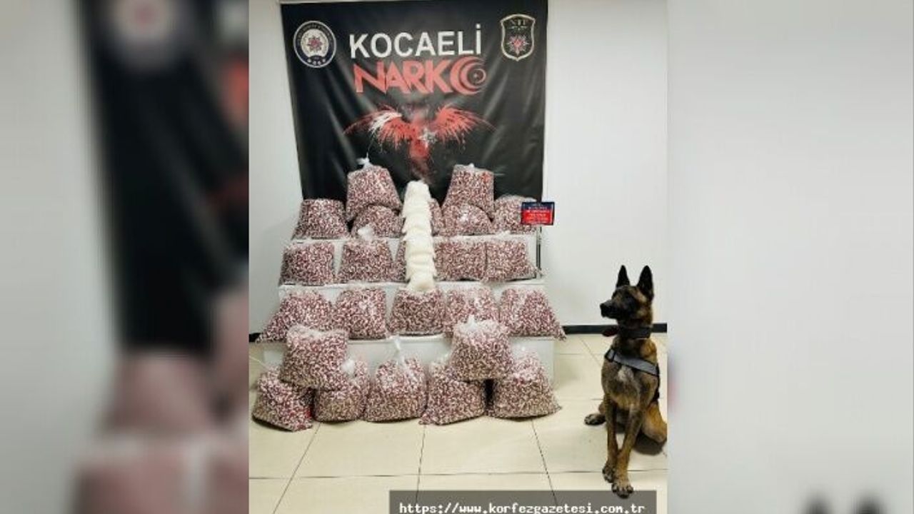 Tırda yapılan aramada, metamfetamin ele geçirildi