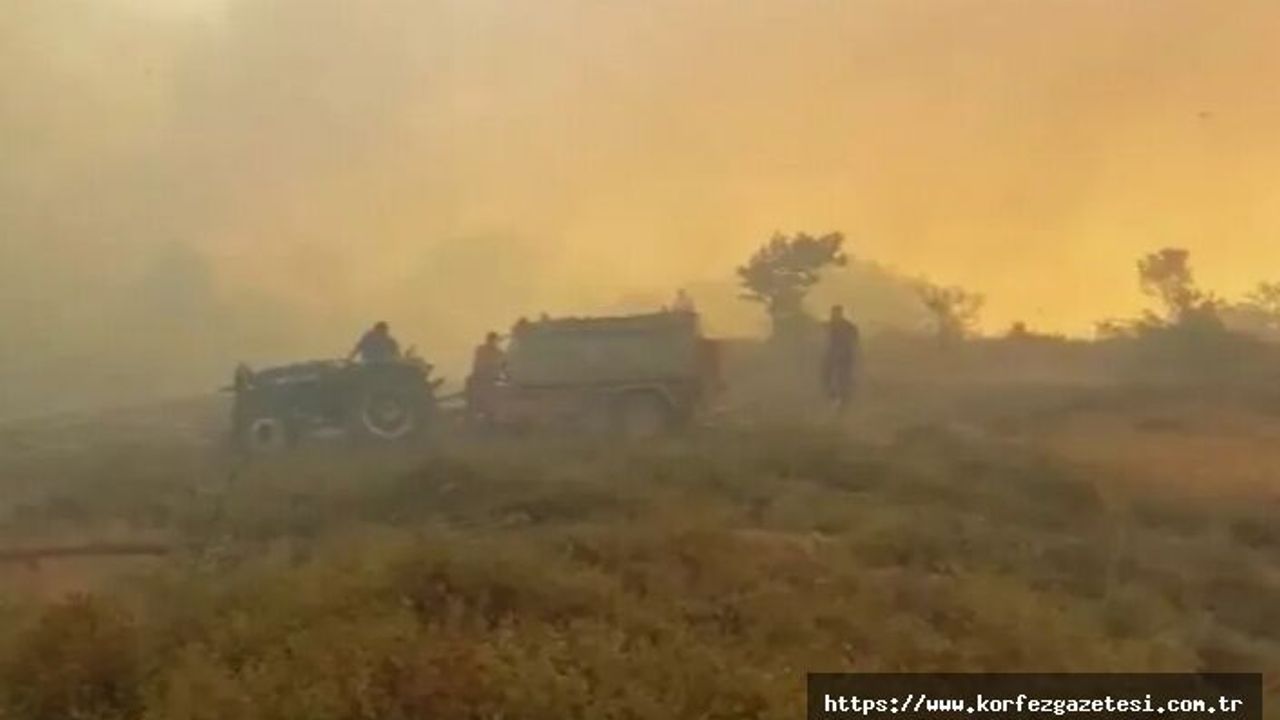 KOCAELİ'DE ORMAN YANGINI SÖNDÜRME ÇALIŞMALARI