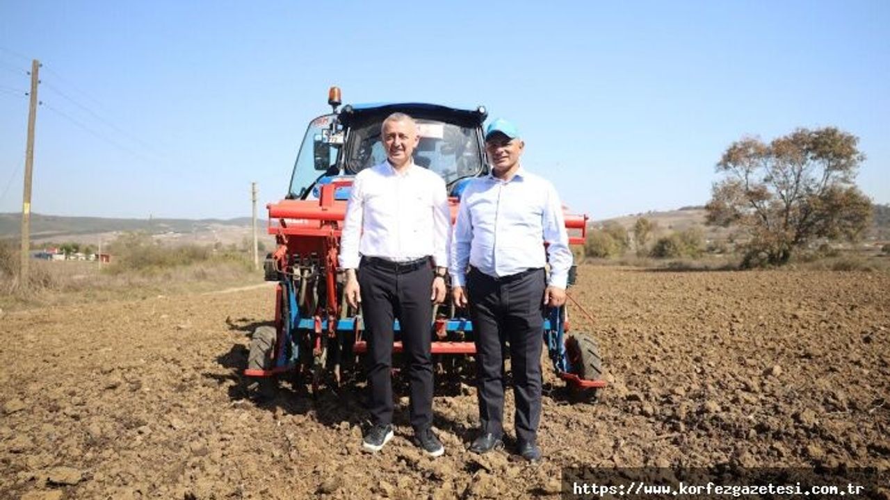 Körfez’de Atıklardan Bereket Doğdu: 5 Ton Buğday Hasat Edildi
