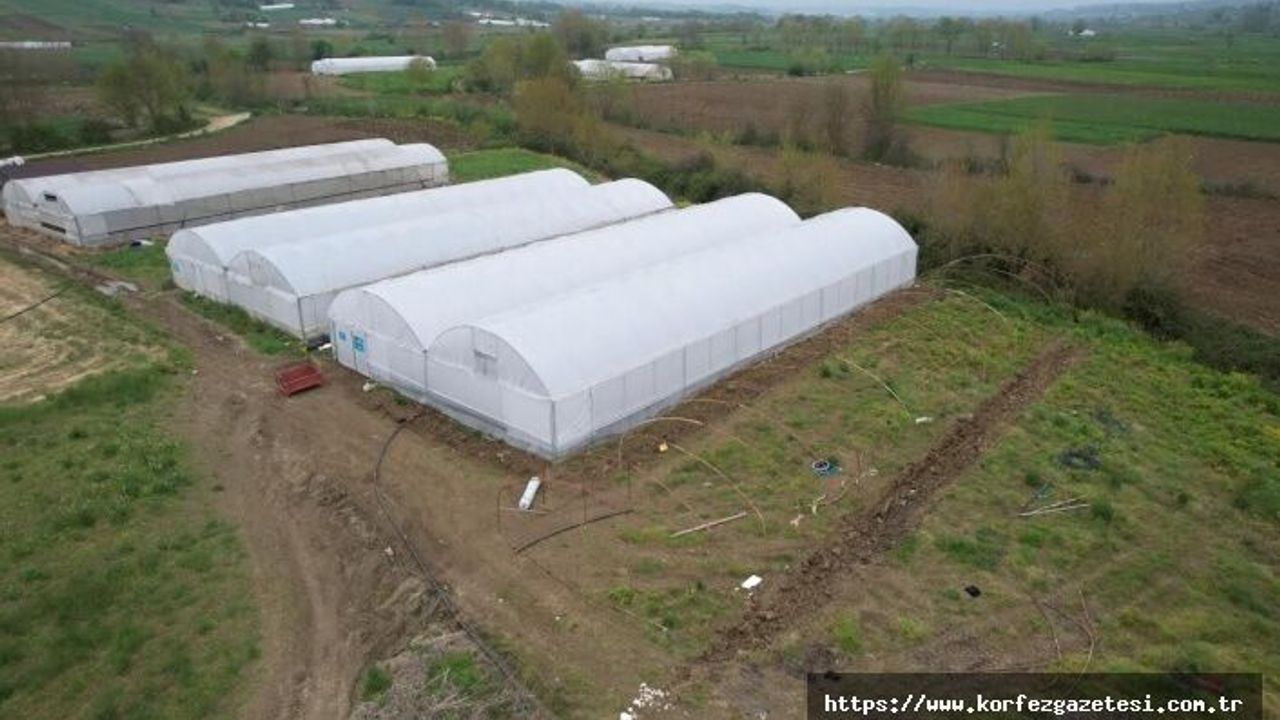 Kocaeli’de Tarıma Güçlü Destek: Modern Seralar Yükseliyor