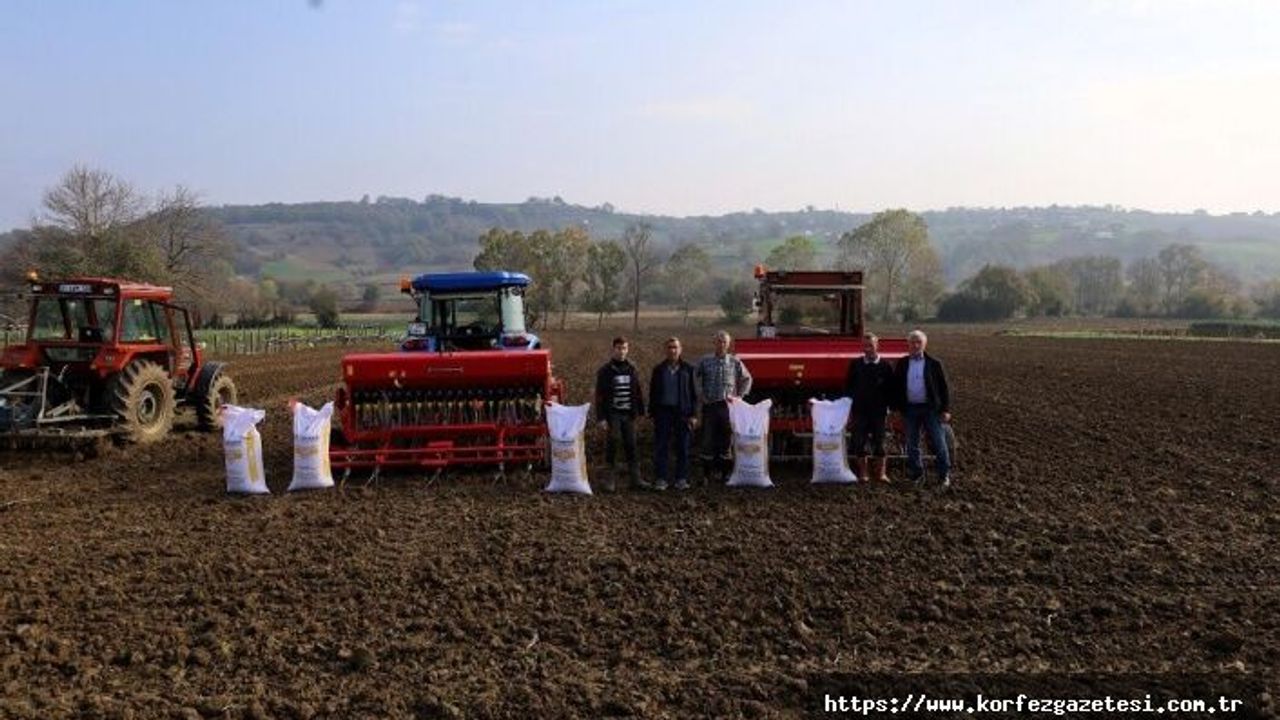 Kocaeli’de Tarıma Güçlü Destek: 1.450 Ton Tohum Toprakla Buluştu