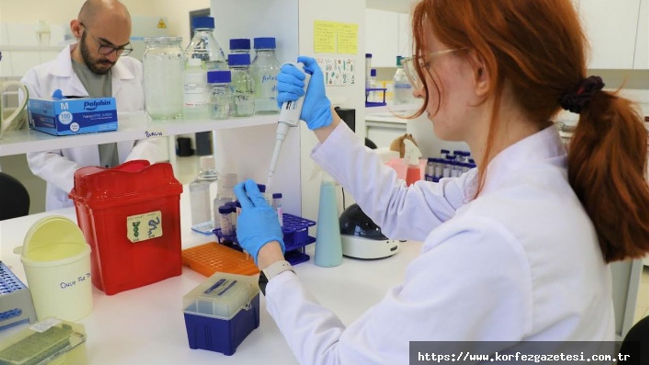 GTÜ, Araştırma Üniversiteleri Sıralamasında İstikrarını Korudu