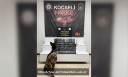 NARKOTİK SUÇLARLA MÜCADELEDE