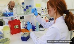 GTÜ, Araştırma Üniversiteleri Sıralamasında İstikrarını Korudu