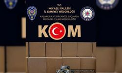 Kocaeli’de 600 Bin Dal Makaron Ele Geçirildi