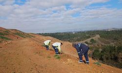 Kocaeli’de Yeşil Gelecek İçin Yeni Adım