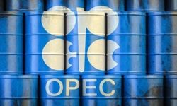 BAE’den OPEC Kararı: Küresel Enerji Dengeleri Değişiyor