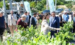 GTÜ’de Agroekolojik Living Lab Açıldı