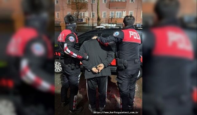 İzmit’te Bonzai Operasyonu: 1 Gözaltı