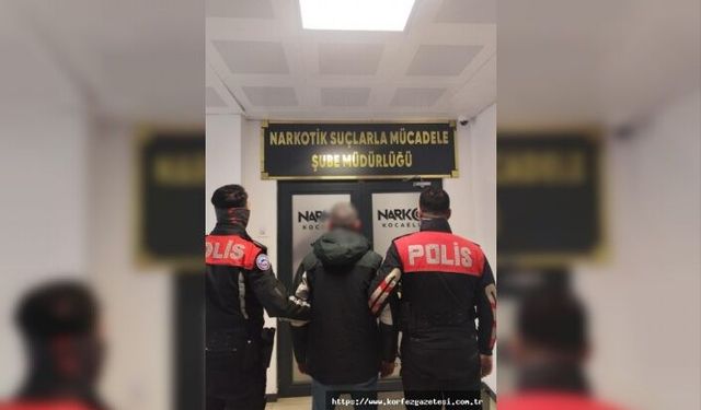 İzmit’te Bonzai Operasyonu