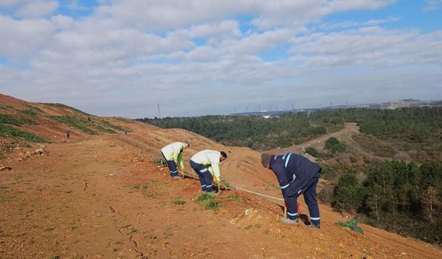 Kocaeli’de Yeşil Gelecek İçin Yeni Adım