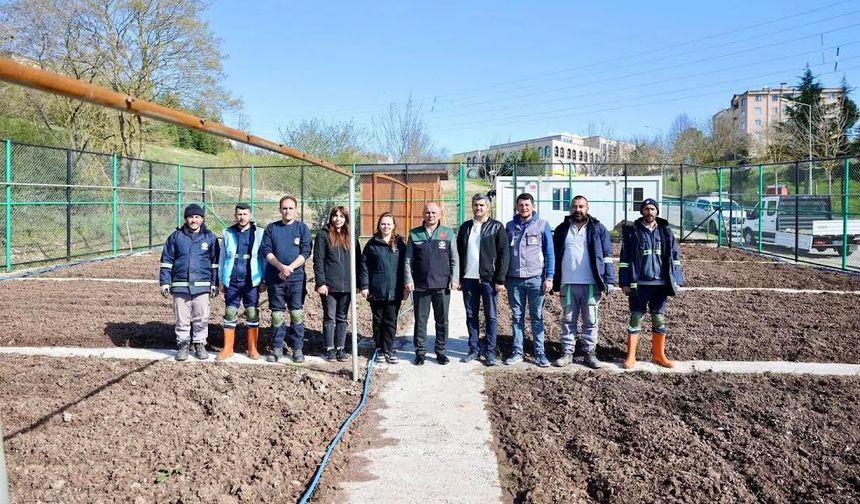 Körfez Belediyesi’nden Ata Tohumu Üretim Hamlesi