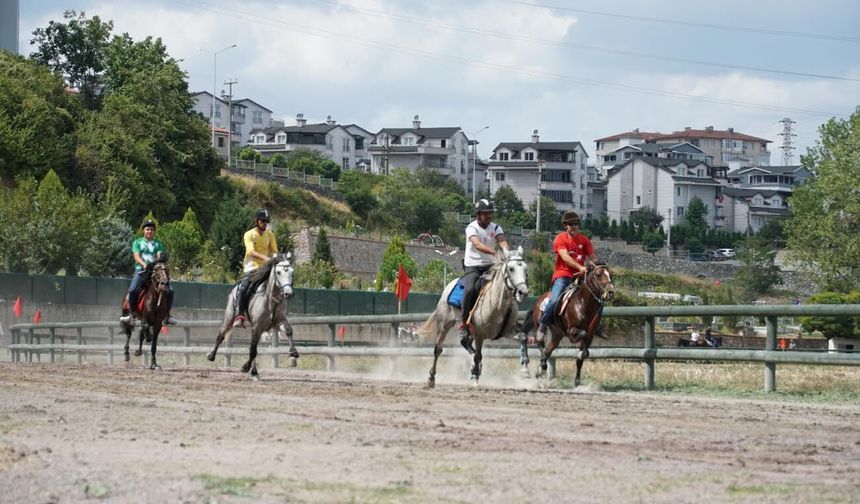 Gölcük’te Rahvan At Yarışları Büyük Heyecana Sahne Oldu