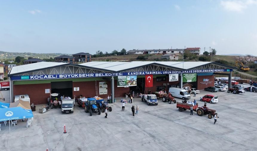 Kandıra’da Fındık Üreticisine Büyükşehir’den Güçlü Destek